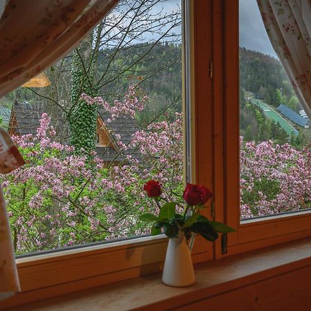 Regionalny Domek Pod Skocznia Zakopane Exteriör bild