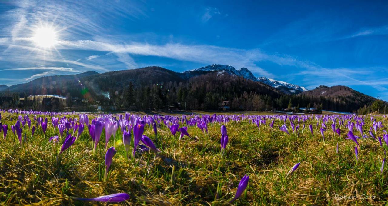 Regionalny Domek Pod Skocznia Zakopane Exteriör bild