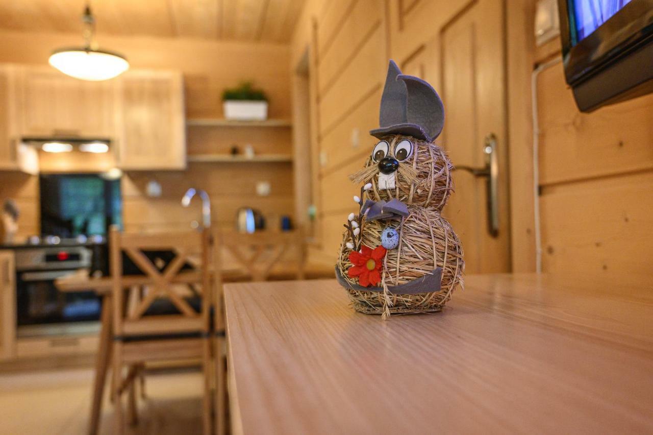 Regionalny Domek Pod Skocznia Zakopane Exteriör bild